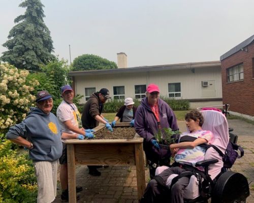 group planting a garden